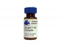 Donkey anti-Rat IgG (H&L) - Affinity Pure, DyLight®350 Conjugate