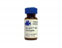 Donkey anti-Rabbit IgG (H&L) - Affinity Pure, DyLight®594 Conjugate, min x w/mouse IgG and serum proteins