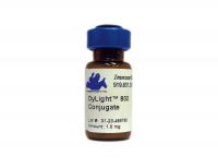 Goat anti-Mouse IgG (H&L) - Affinity Pure, DyLight®800 Conjugate, min x w/human IgG or serum proteins